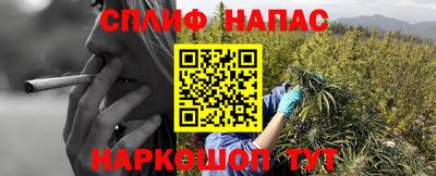 амфетамин Гай