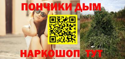 Альфа ПВП Гатчина
