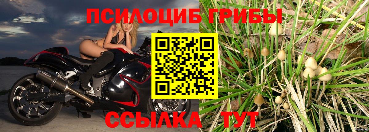 Галлюциногенные грибы MAGIC MUSHROOMS Кимовск